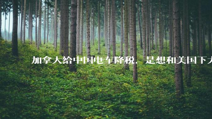 加拿大给中国电车降税，是想和美国下大棋？_关税_配额_出口